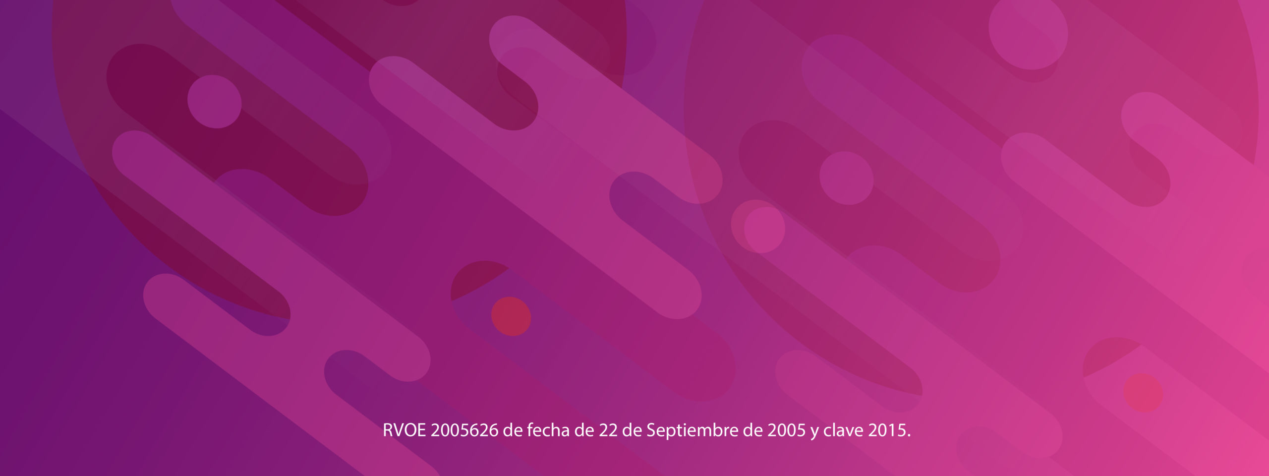 maesria_Lenguajes_visuales_-fecha_sitioWebBack